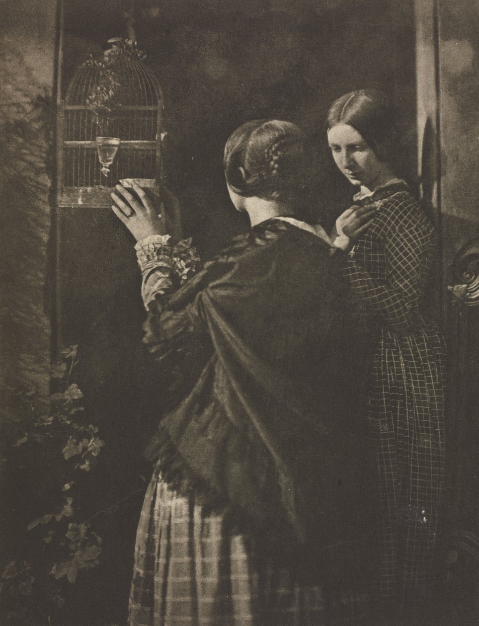 Trabalho de câmera: A gaiola de pássaro de David Octavius Hill