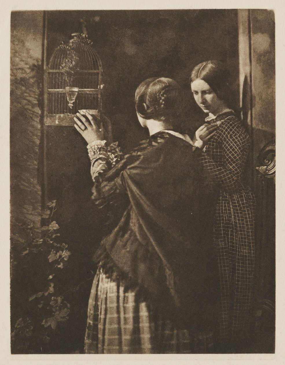 A gaiola de pássaros de David Octavius Hill