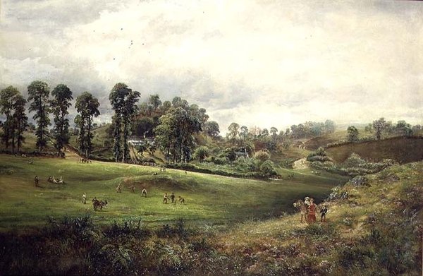 Um Jogo de Críquete da Aldeia de David Payne