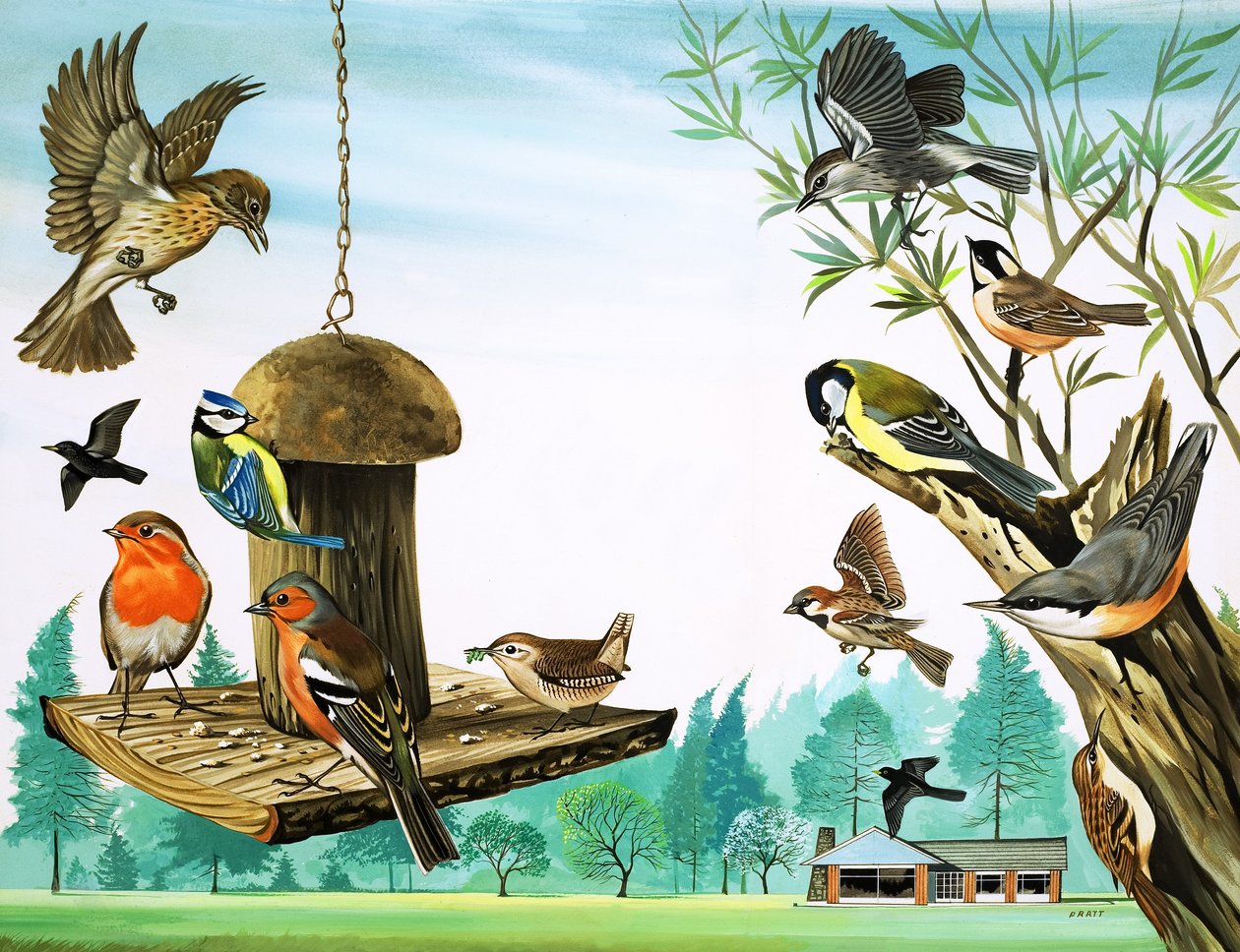 Todos os tipos de pássaros à volta da mesa do jardim, ilustração de "Era uma vez de David Pratt