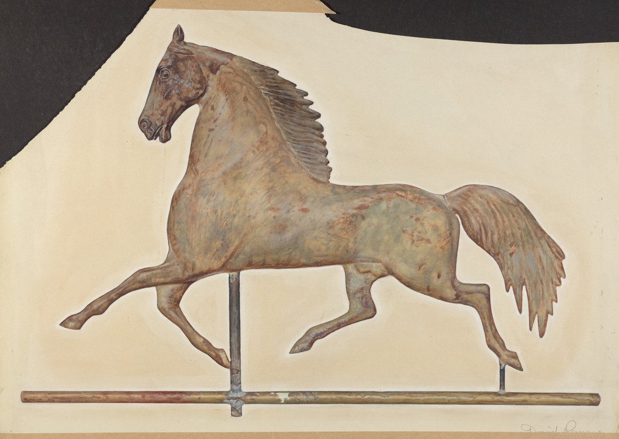Cavalo Cata-vento de David Ramage