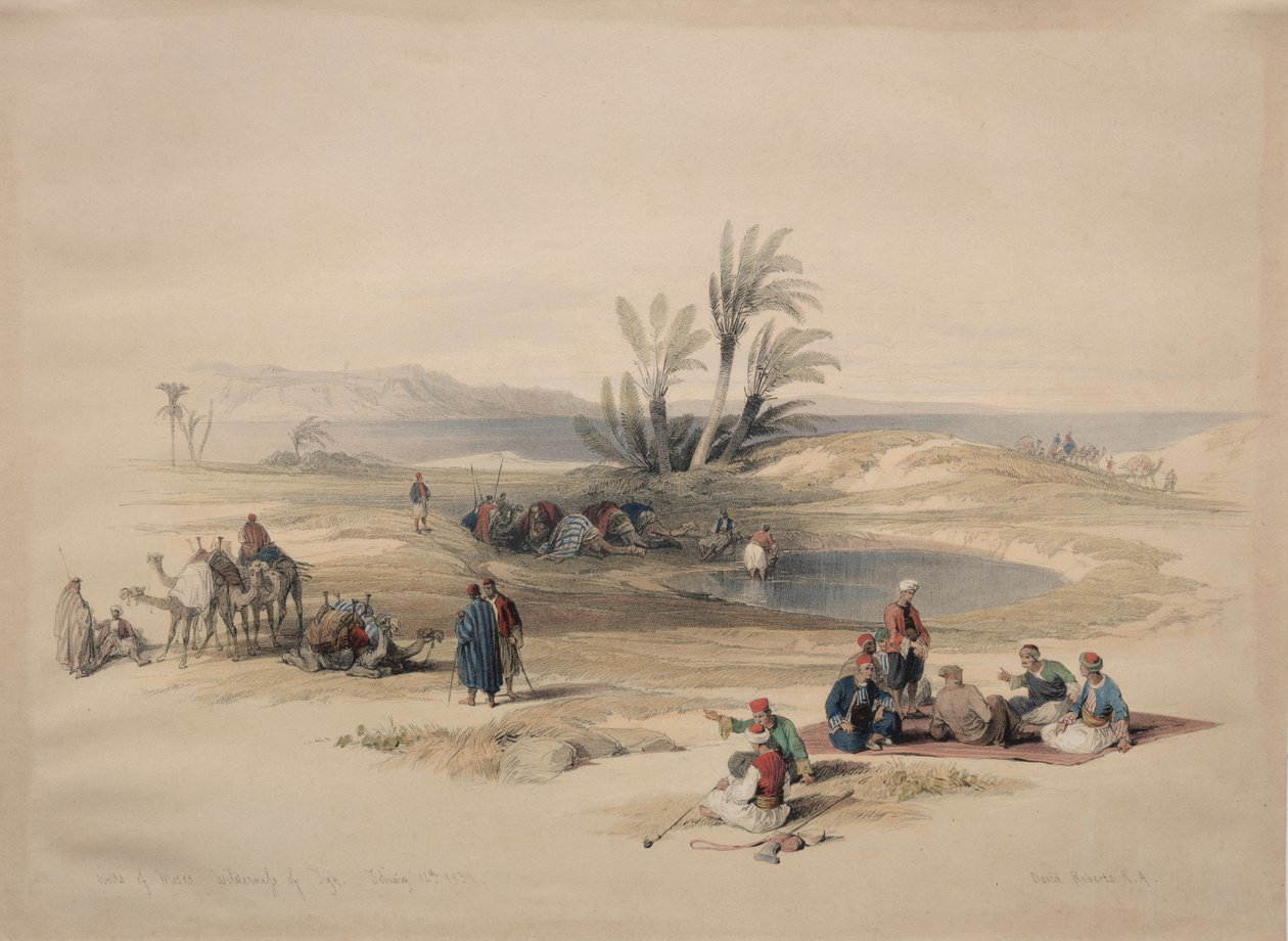 Poços de Moisés, região selvagem de Tyh, 1839. de David Roberts