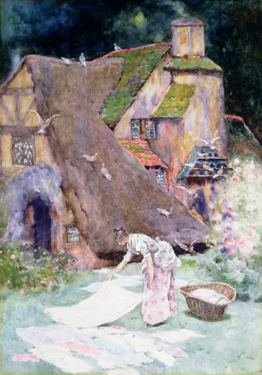Dia da lavagem de David Woodlock