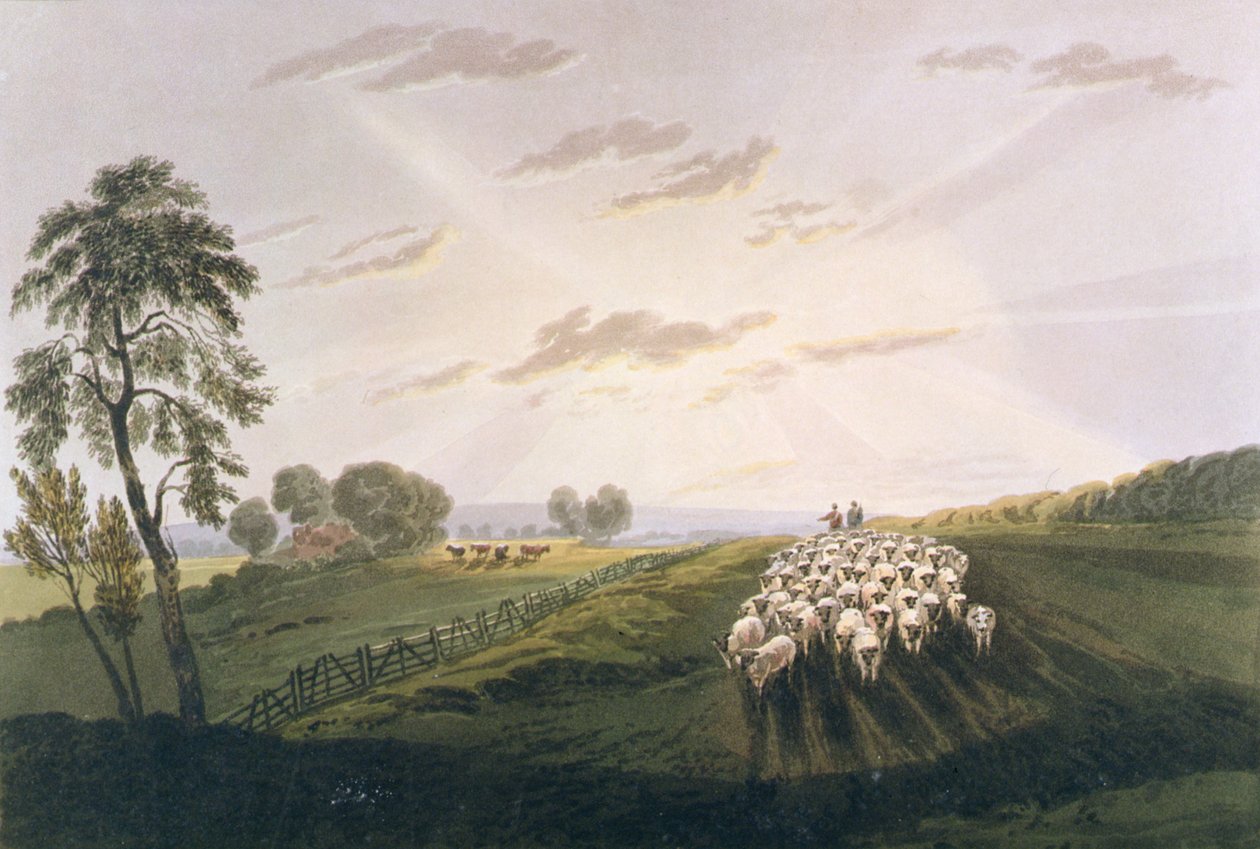 Tarde, Vista em Surrey, ilustração do Tratado sobre Pintura de Paisagens e Efeito em Aquarelas, 1841 (aquatinta colorido à mão) de David after Cox