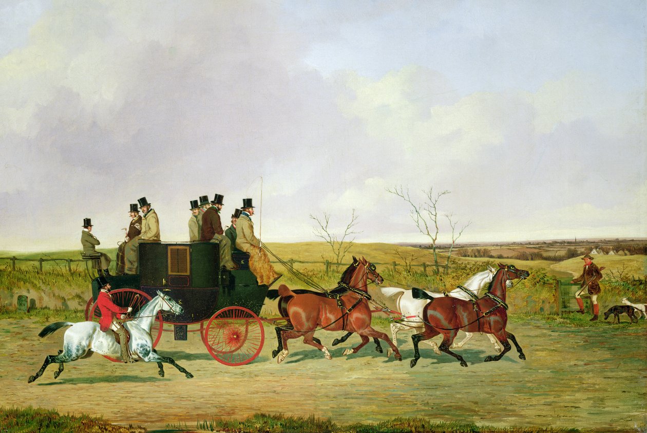 Cavalo e carruagem de David of York Dalby