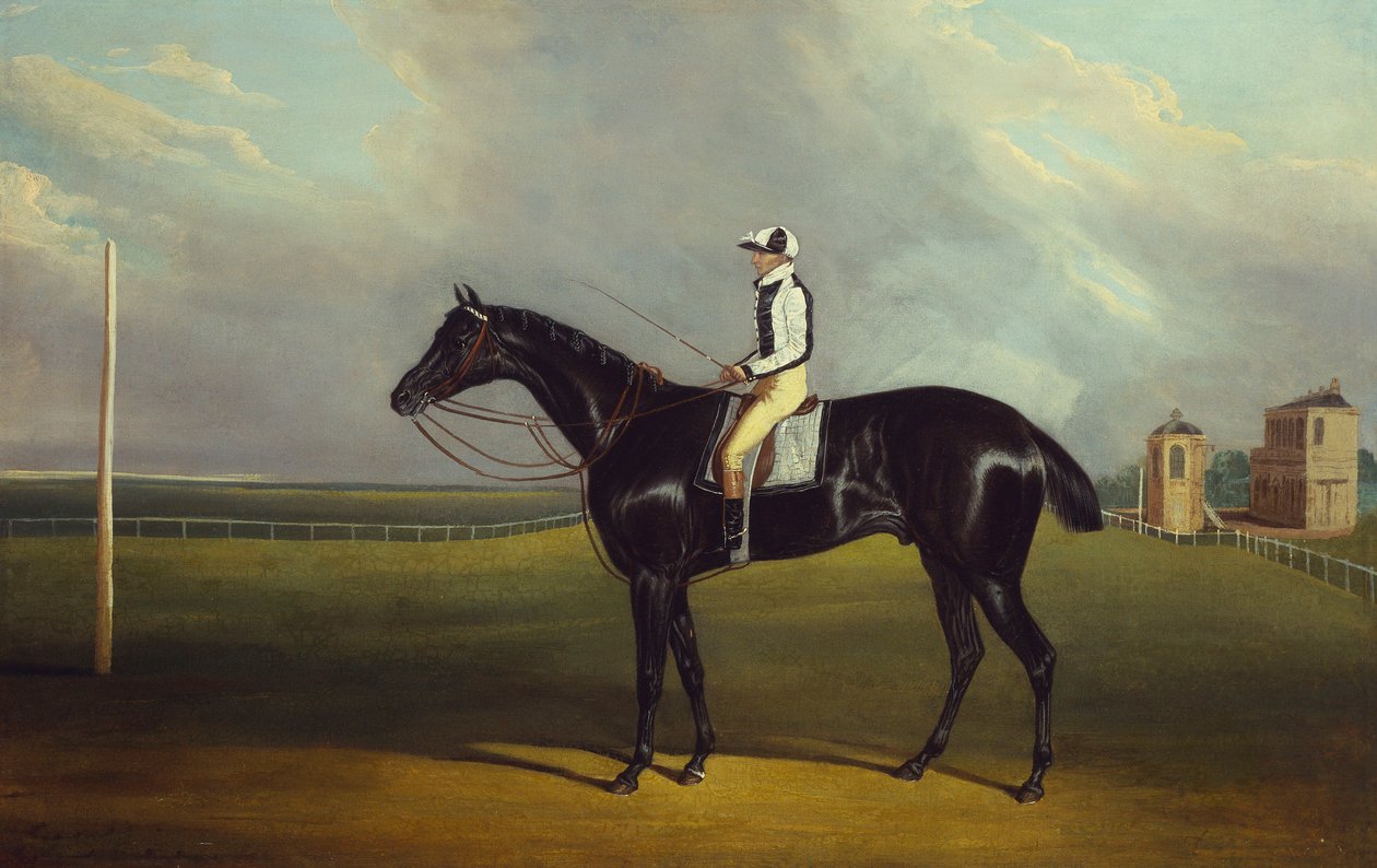 RO Gascoigne "s" Jerry "com B. Smith no Hipódromo de Doncaster de David of York Dalby