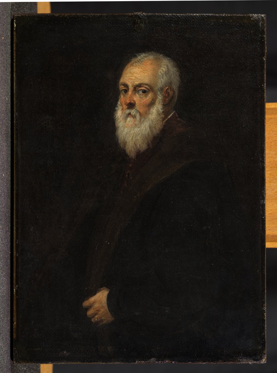 Retrato de um homem barbudo, depois de Jacopo Tintoretto de David Teniers the Younger