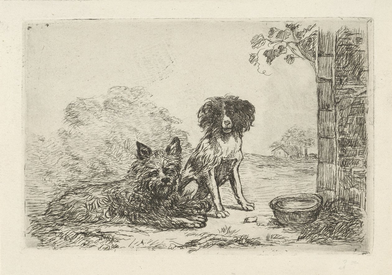 Dois cães de David van der Kellen