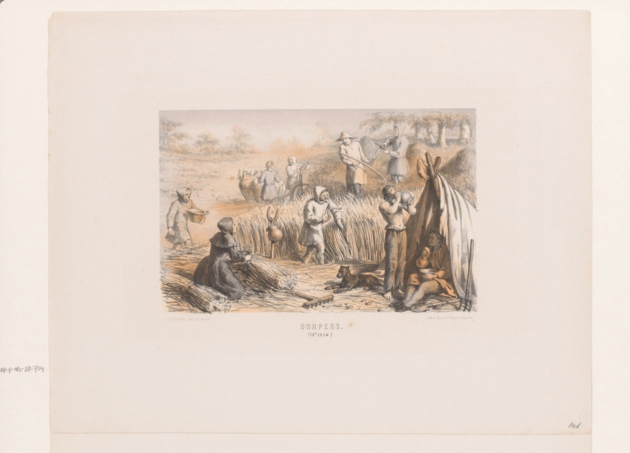Colheita nos campos, século XIII
Dorpers. (século XIII) (título sobre o objecto) de David van der Kellen