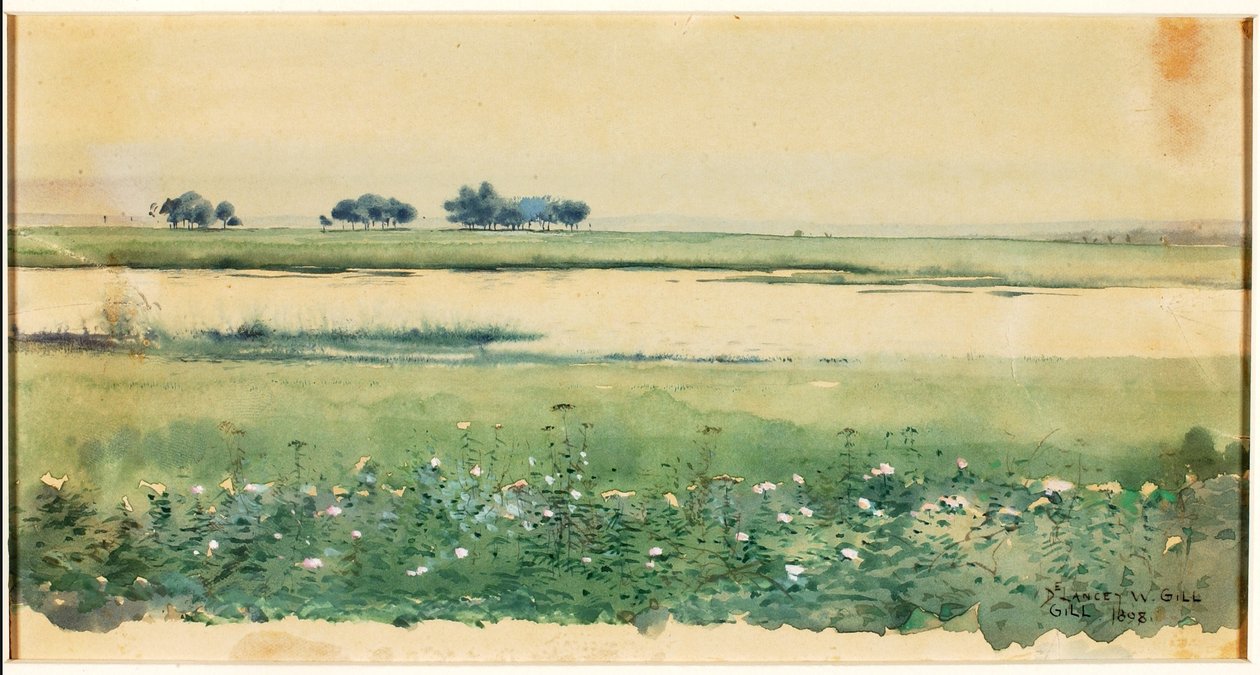 (Paisagem com pântanos) de De Lancey Gill