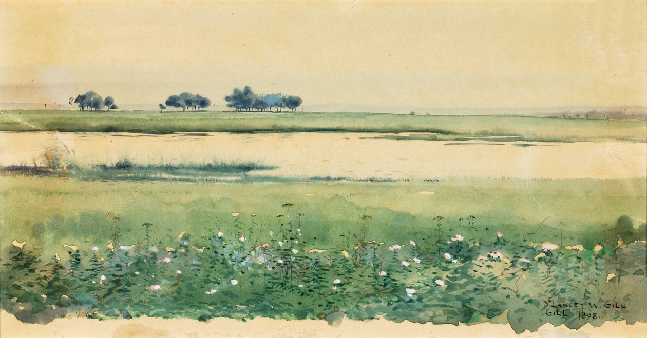 Paisagem com pântanos, 1898. de De Lancey Gill