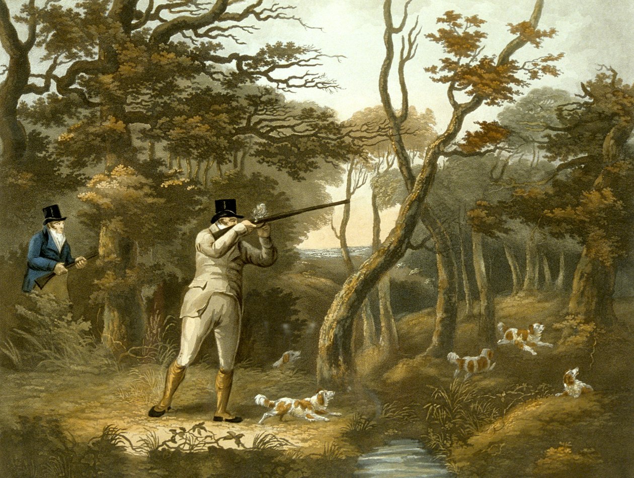 Tiro, placa 2, gravada por R.G. Reeve de Dean Snr. (after) Wolstenholme