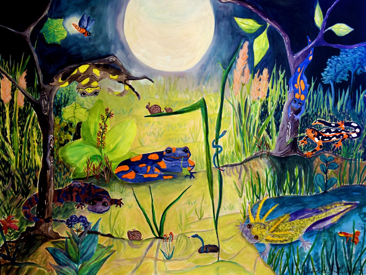 Acordado enquanto dormes, 2015 (aguarela) de Deborah Eve Alastra