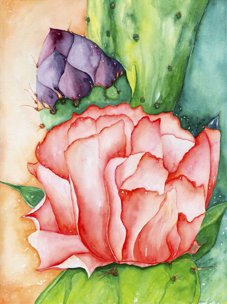 Desert Bloom, 2007 (aguarela) de Deborah Eve Alastra