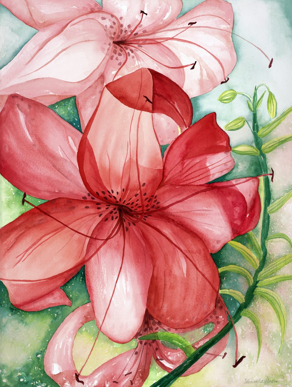 Lírio-tigre, 2007 (aguarela) de Deborah Eve Alastra