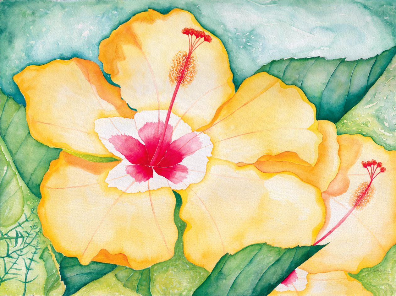 Hibisco amarelo, 2006 (aguarela) de Deborah Eve Alastra