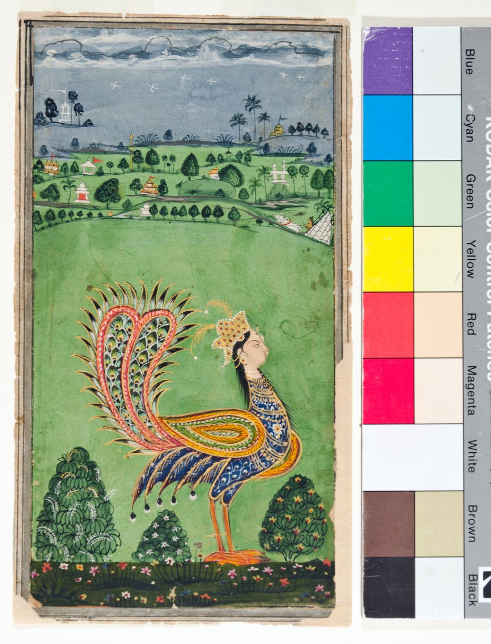 Pavão mítico com cabeça de mulher, c.1750 (opaco w - ce dourado no papel) de Deccani School