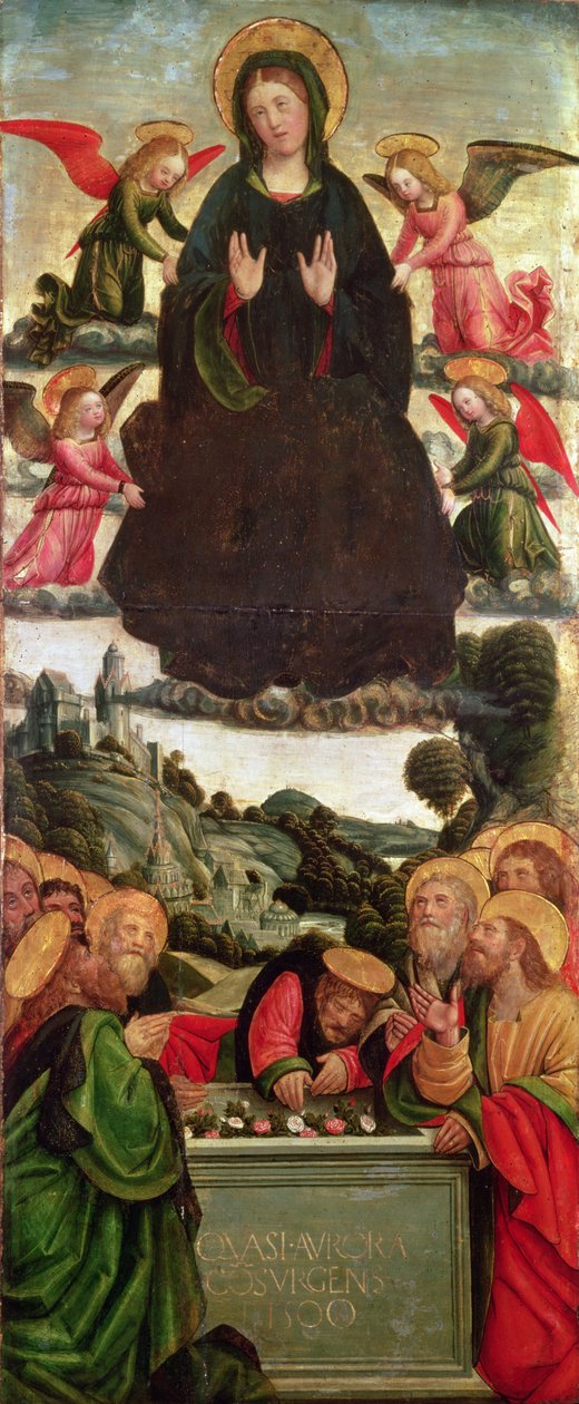 A Assunção da Virgem (tempera na madeira) de Defendente Ferrari