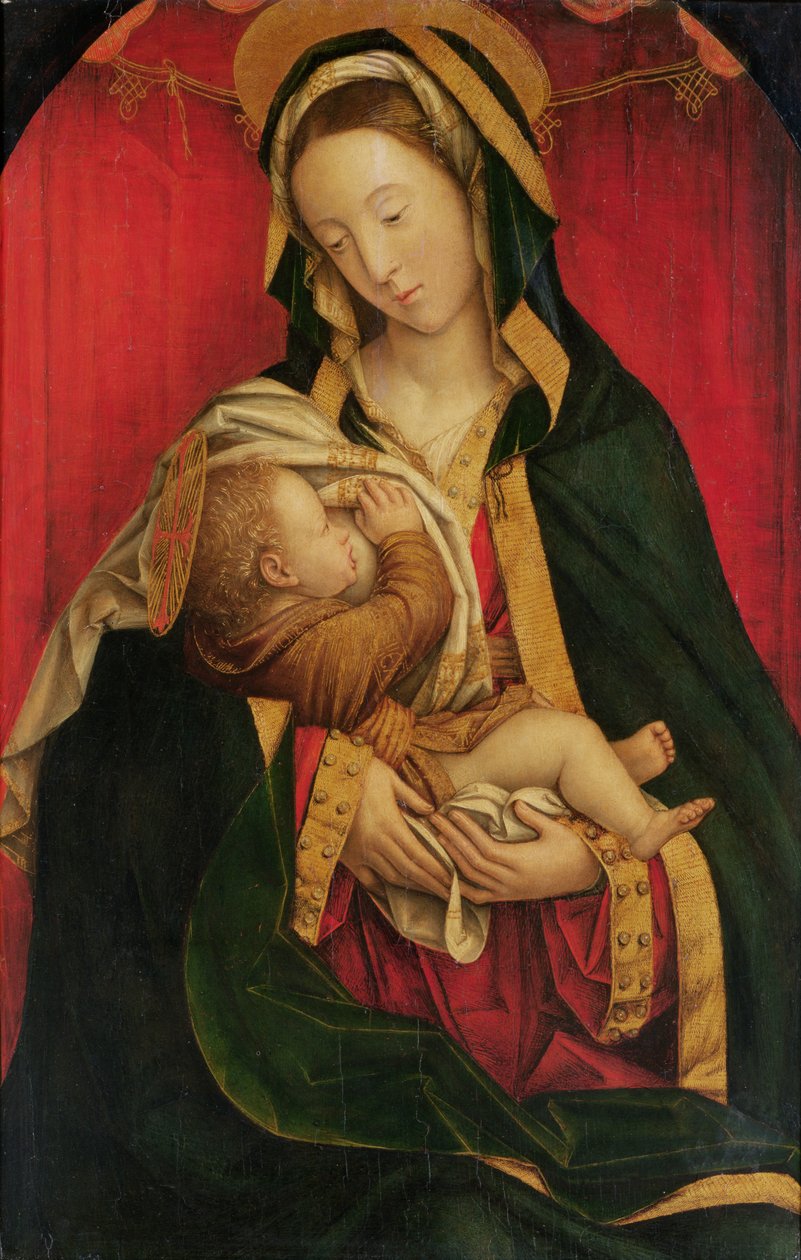 A Madonna Suckling seu filho, 1520-30 de Defendente Ferrari