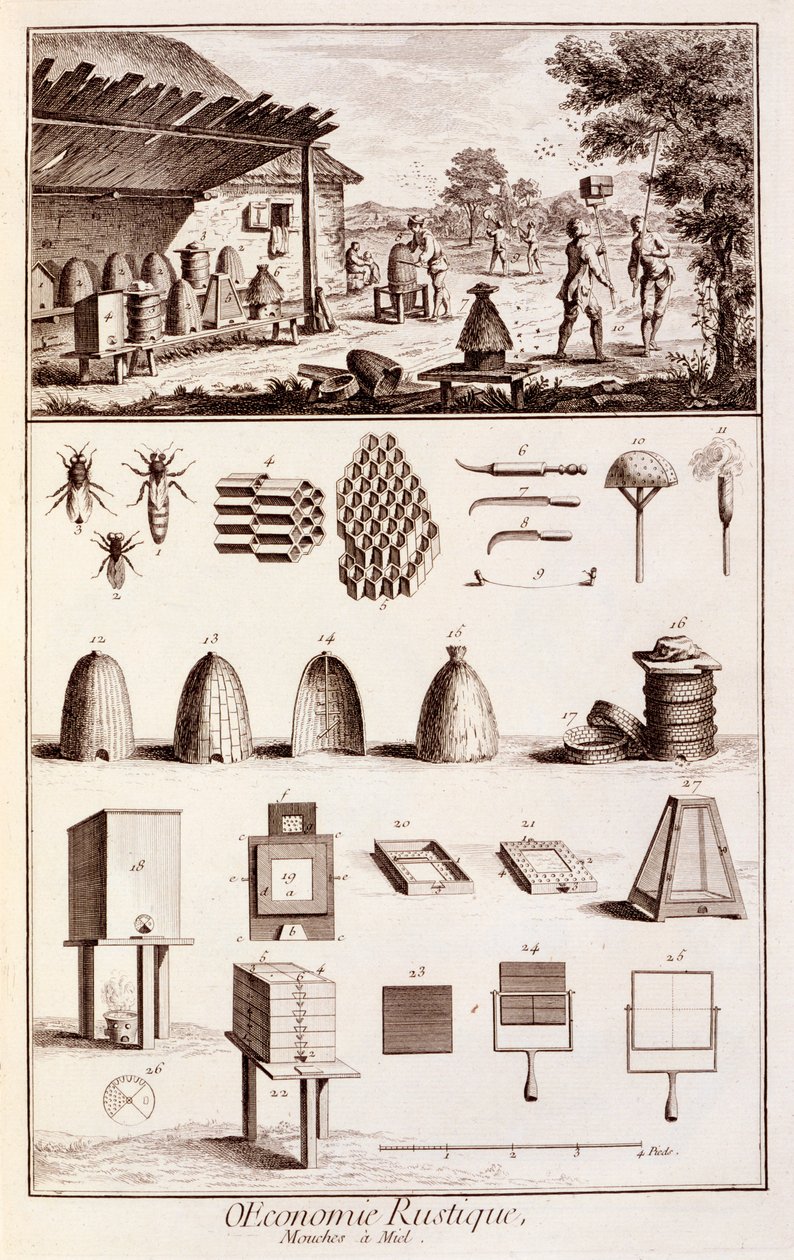 Apicultura, de &39;Dicionário das Ciências&39;, c.1770 (ver também 746839) de Denis Diderot