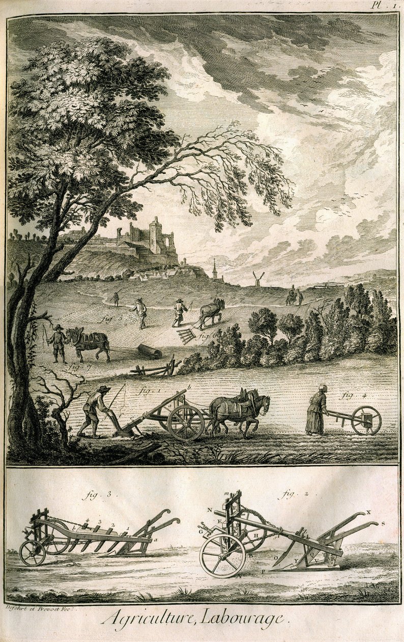Trabalho de campo - Agricultura, semeadura, aração. Vários modelos de rolos e arados: Placa de um volume de ilustrações da Encyclopédie de Diderot, edição original 1762 de Denis Diderot