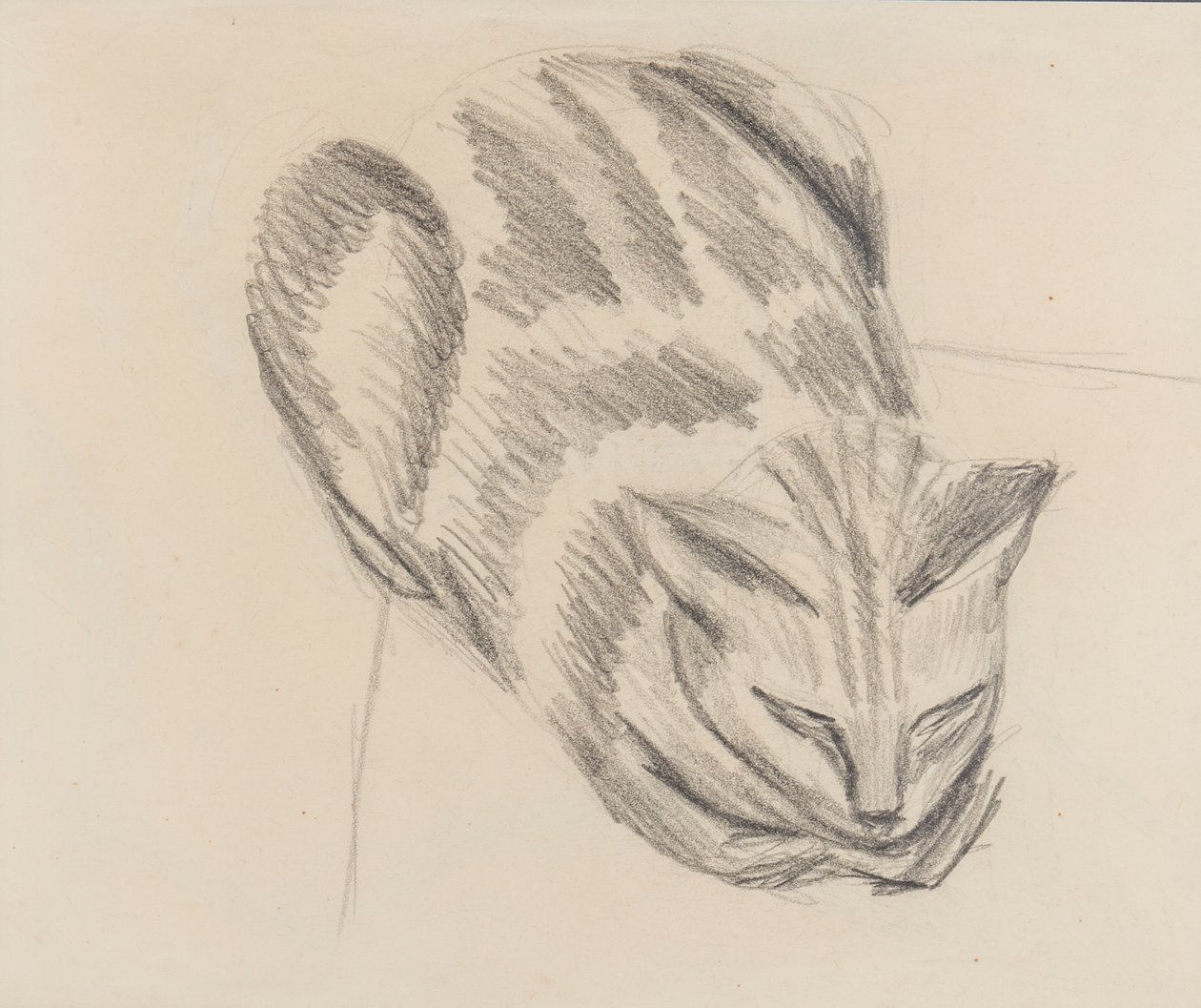 Gato dormindo (lápis no papel) de Denton Welch