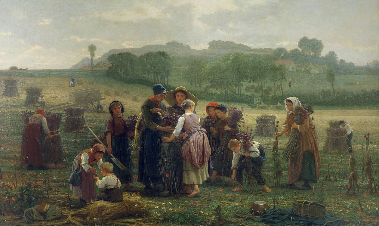 Colhendo papoilas na Picardia, 1860 de Desire Francois Laugee