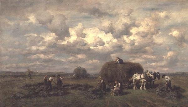 Colheita de Desire Tomassin
