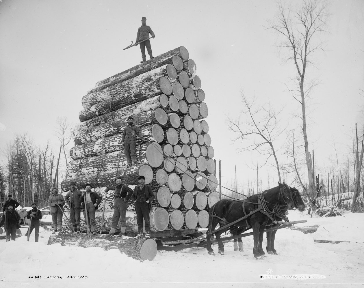 Registrando uma grande carga, Michigan, c.1880-99 de Detroit Publishing Co.