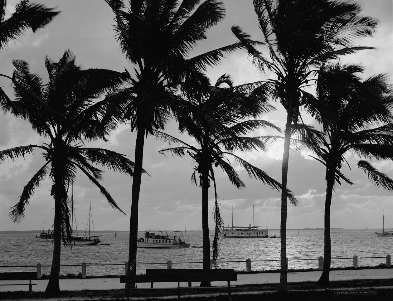 Pôr do sol, Biscayne Bay, Miami, Flórida, c.1910-20 de Detroit Publishing Co.