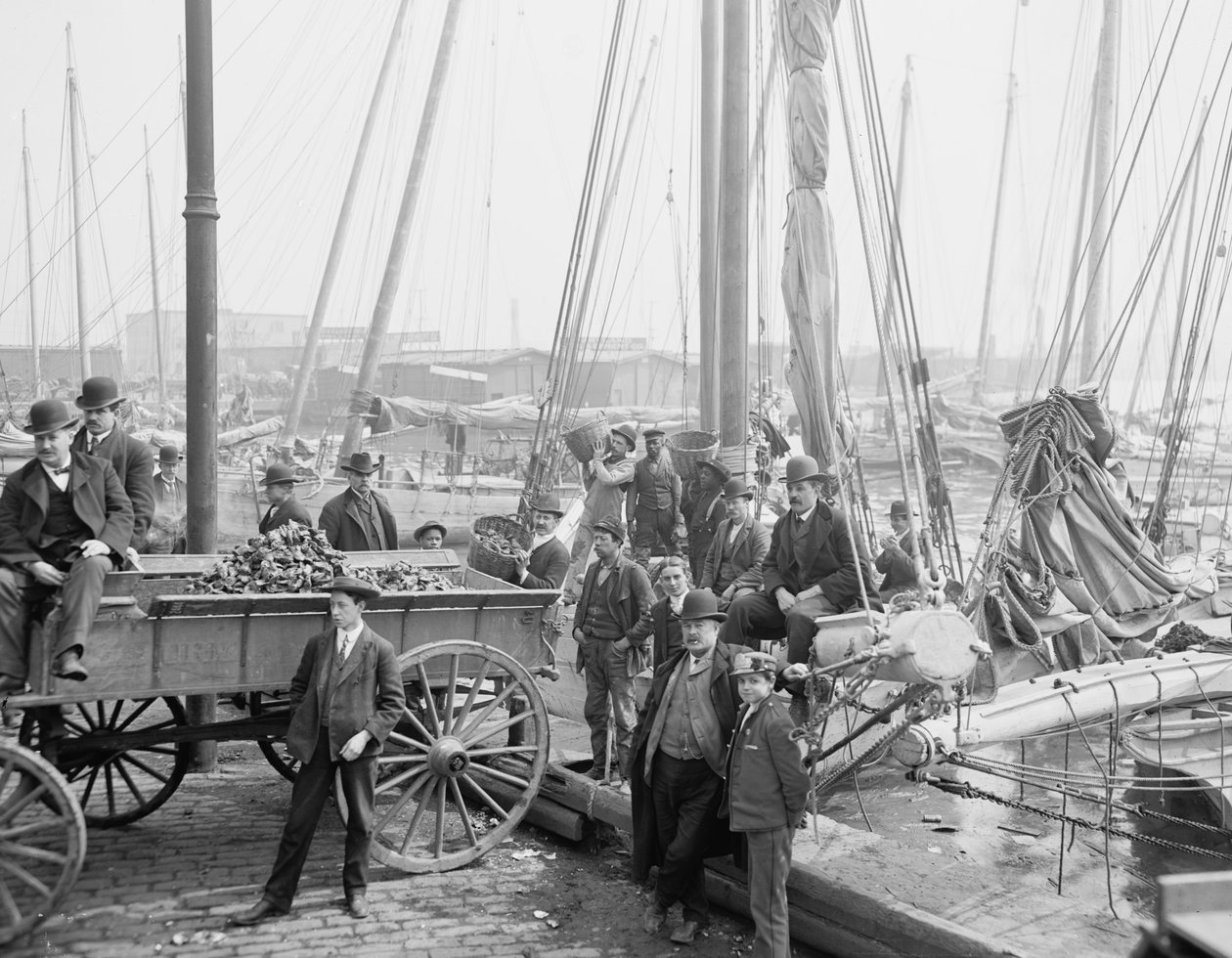 Descarregando ladrões de ostras, Baltimore, Maryland, 1905 de Detroit Publishing Co.