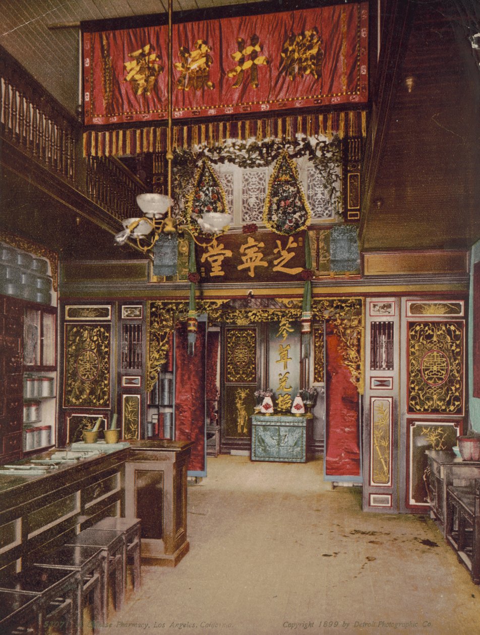 Farmácia chinesa, Los Angeles, Califórnia, 1899 de Detroit Photographic Co.