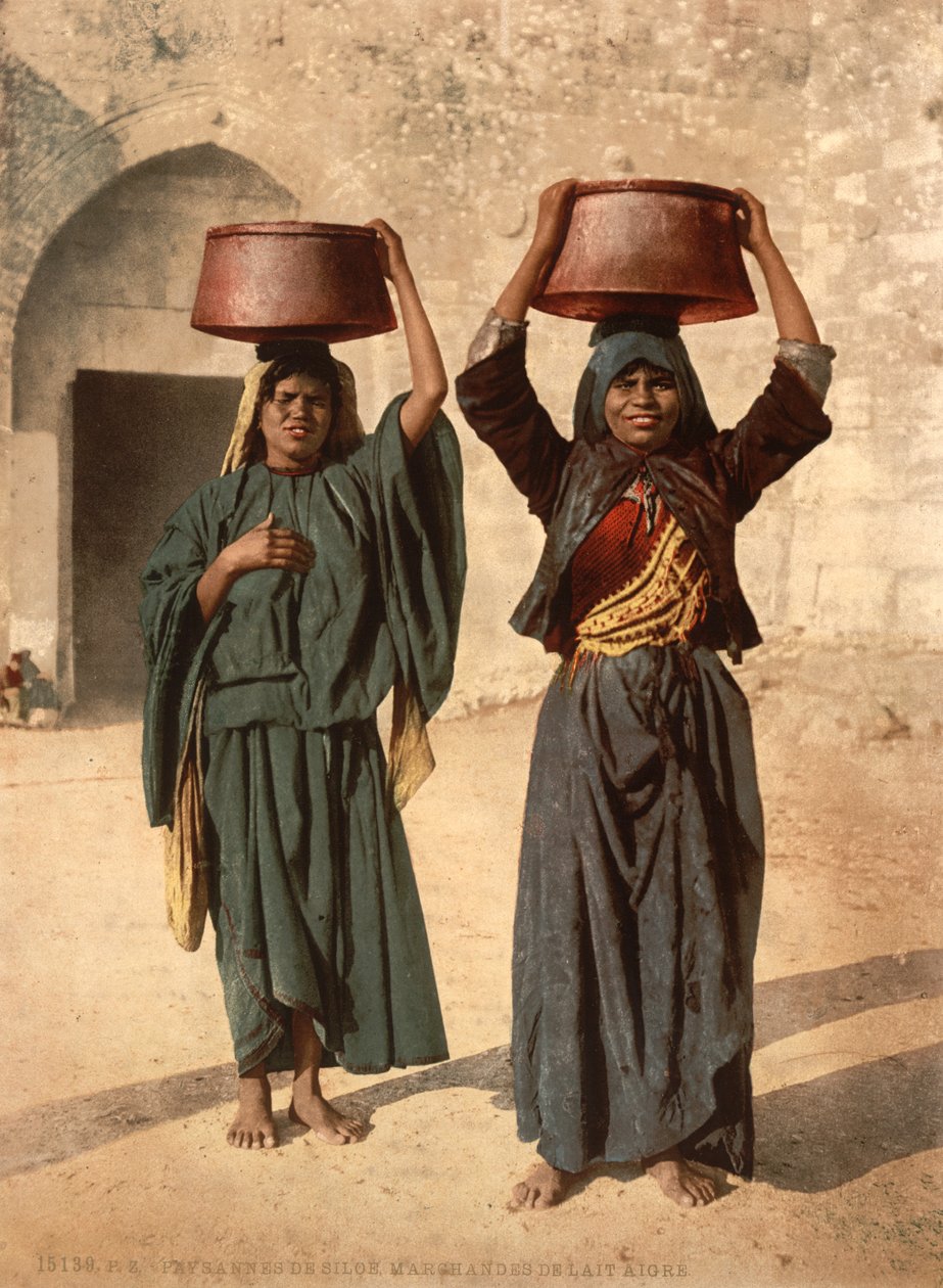 Leiteiros de Siloé, Terra Santa, c.1890 (impressão fotomecânica) de Detroit Photographic Co.