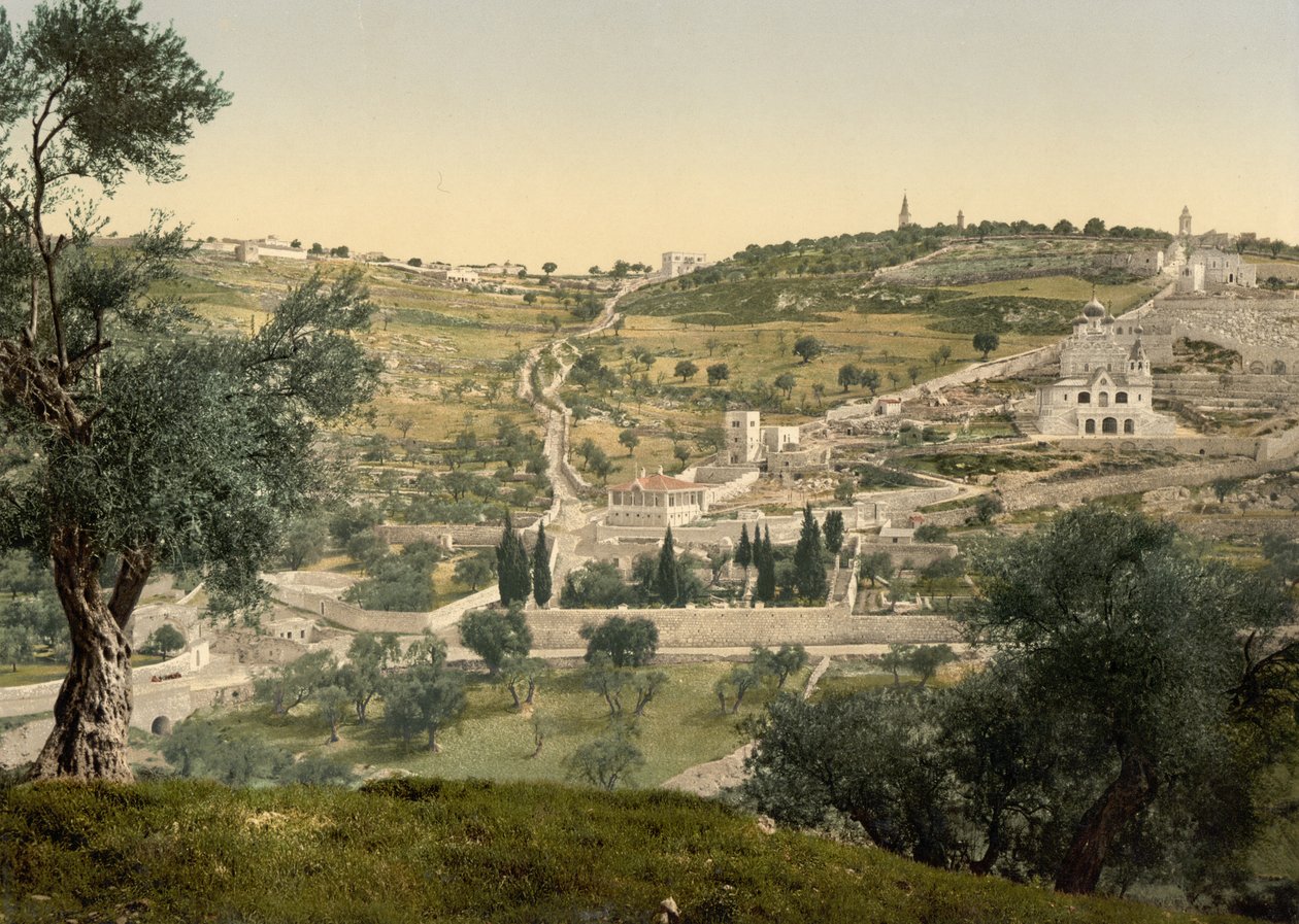 Monte das Oliveiras e Getsêmani, vista geral, Jerusalém, c.1890-c.1900 (impressão fotocromática) de Detroit Photographic Co.