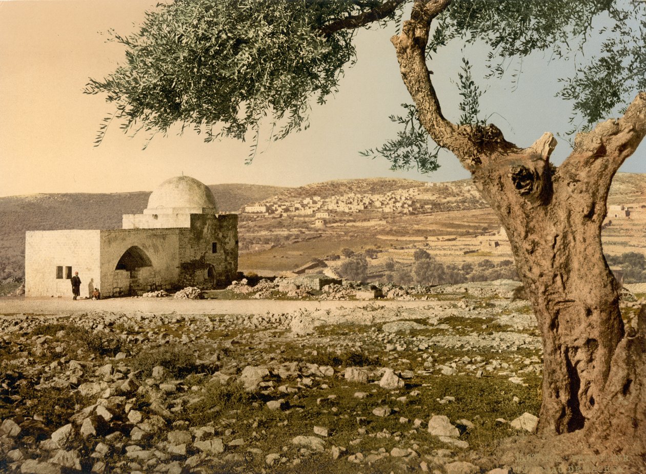Túmulo de Raquel, Jerusalém, Terra Santa, c.1890-c.1900 (fotocópia) de Detroit Photographic Co.