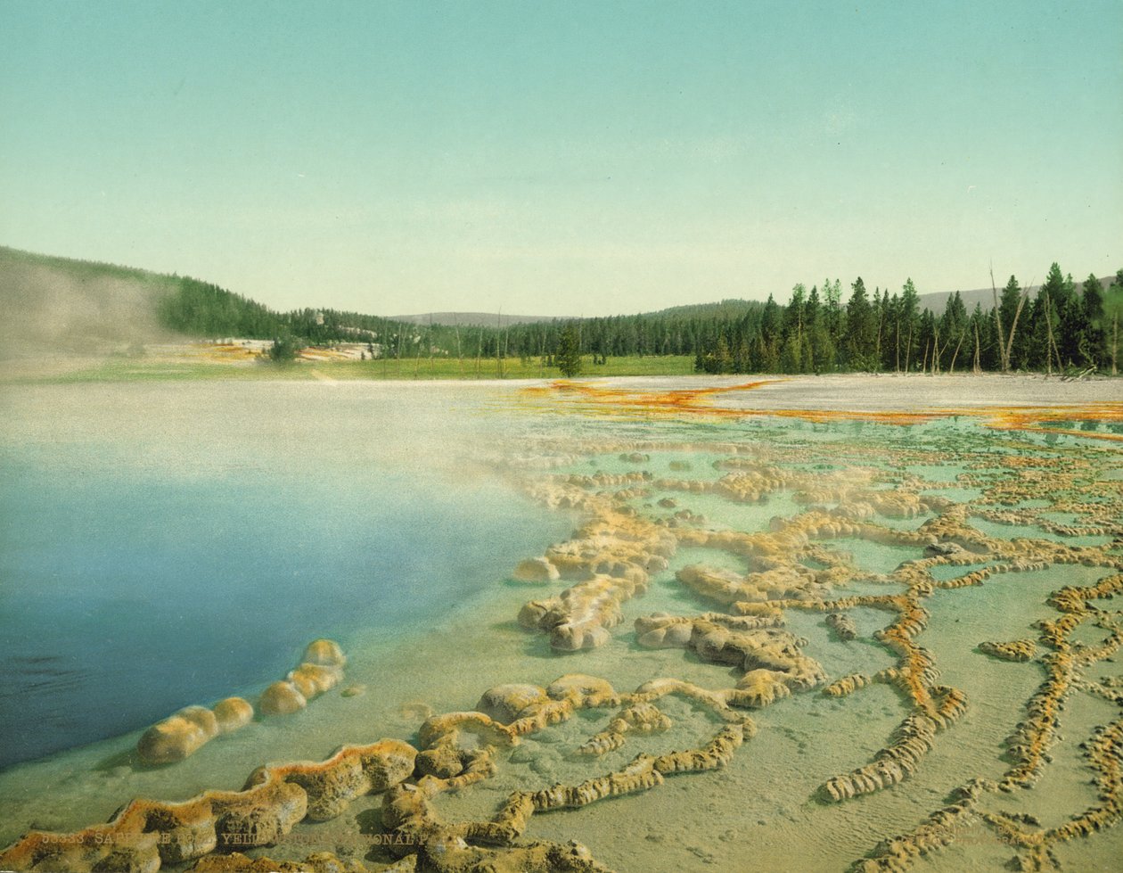 Associação da safira, parque nacional de Yellowstone, c.1902 (photochrom) de Detroit Photographic Co.