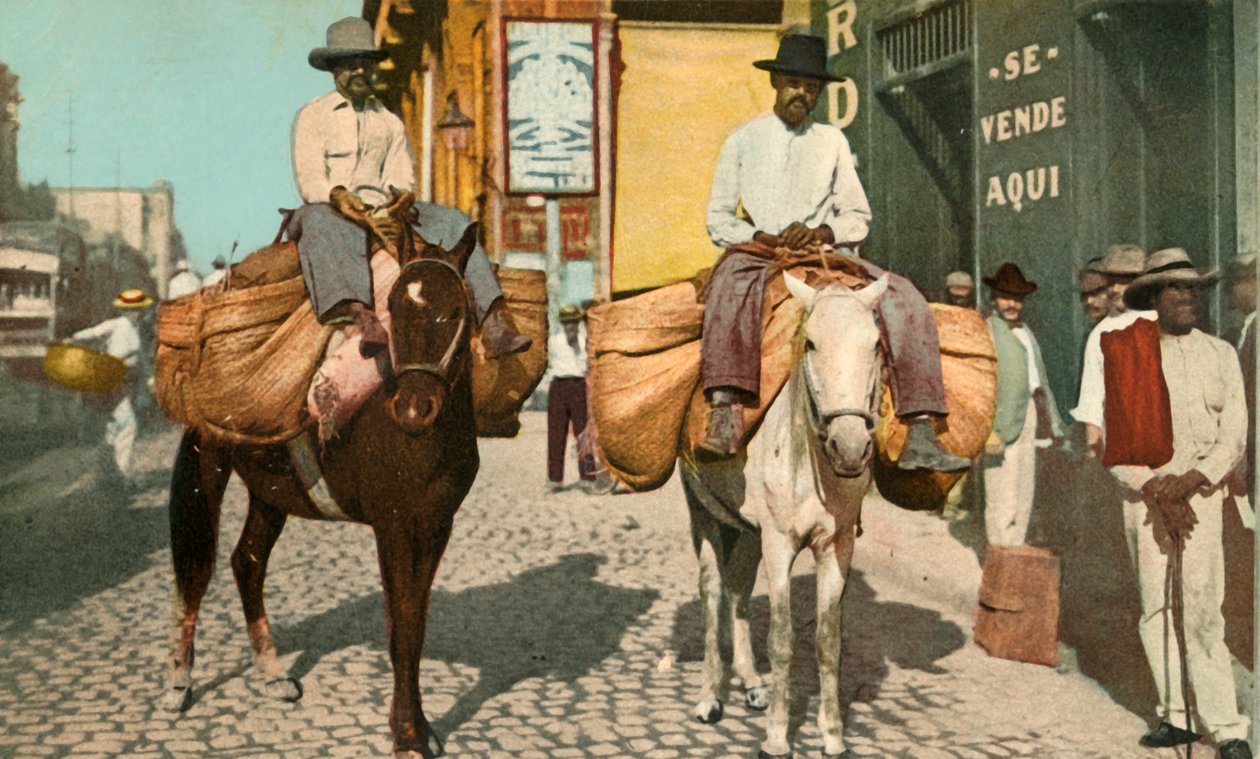 Homens vegetais, Havana, Cuba, 1904. de Detroit Photographic Company