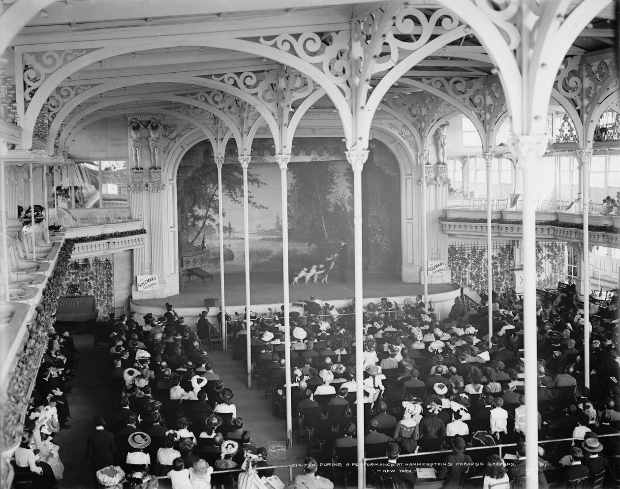 Durante uma apresentação no Paradise Gardens de Hammerstein, Nova York, c.1900-06 de Detroit Publishing Co.
