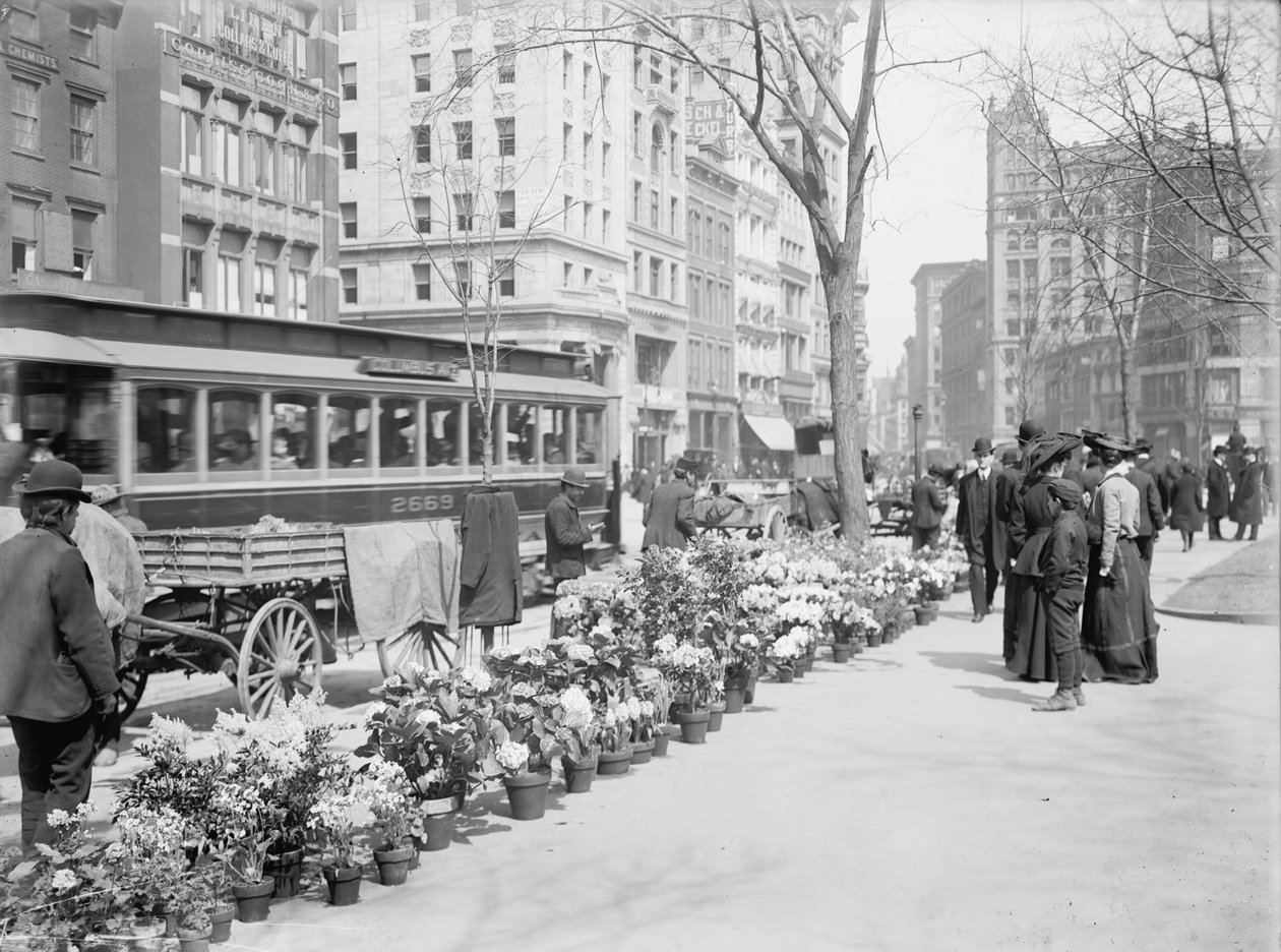 Flower Vendors, Easter Display, New York City, EUA, c.1904 de Detroit Publishing Co.