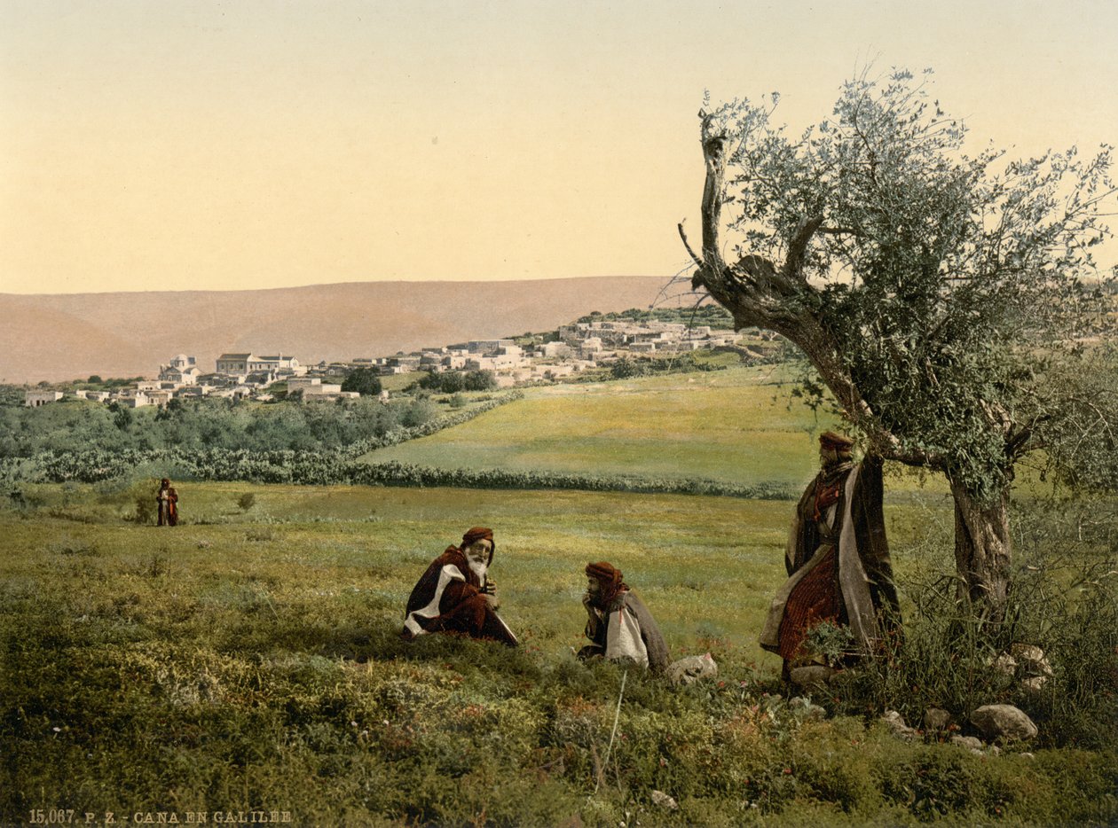 Vista geral, Caná da Galileia, Terra Santa, c.1890-1900 (impressão fotocrómica) de Detroit Publishing Co.