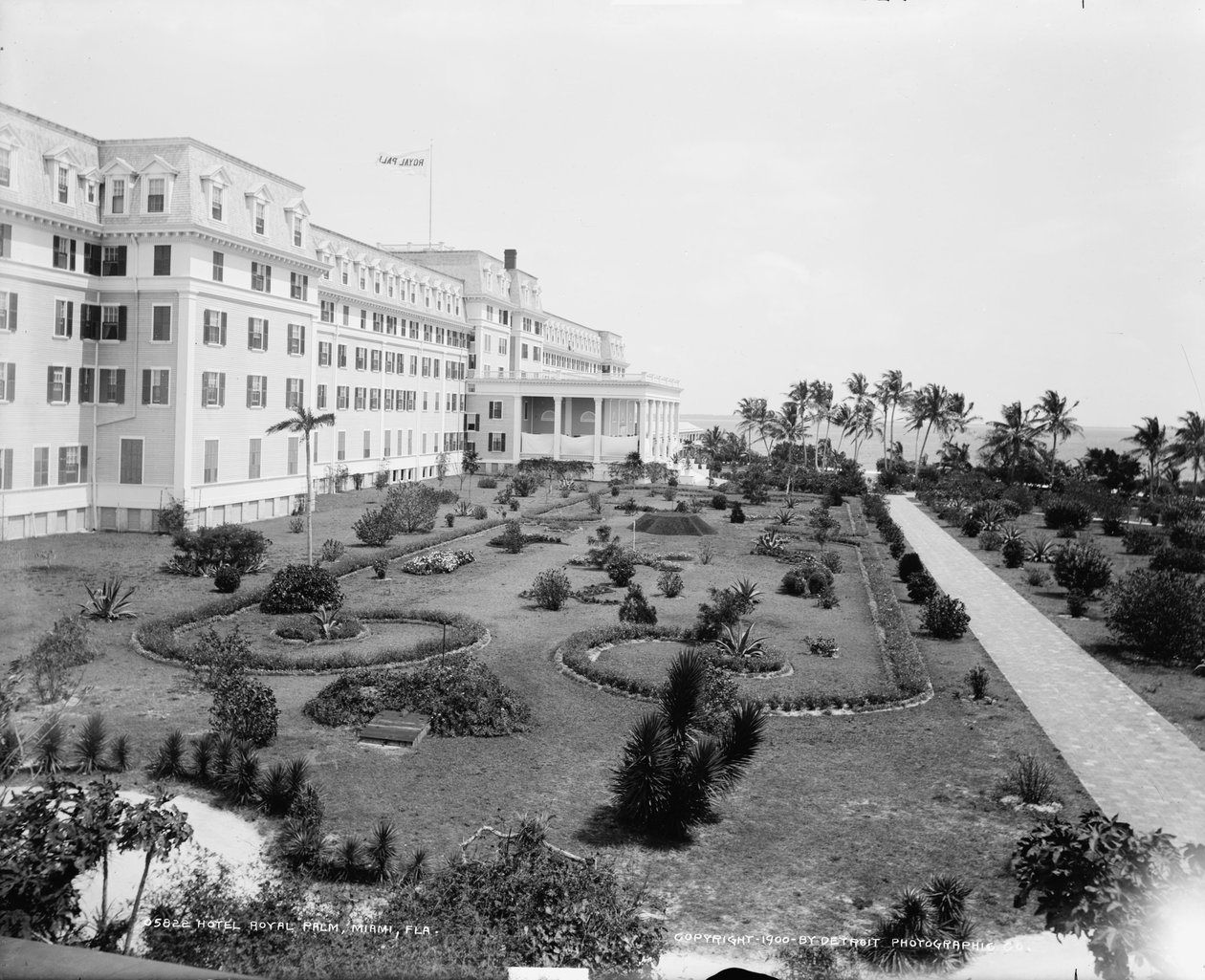 Hotel Royal Palm, Miami, Flórida, c.1900 de Detroit Publishing Co.