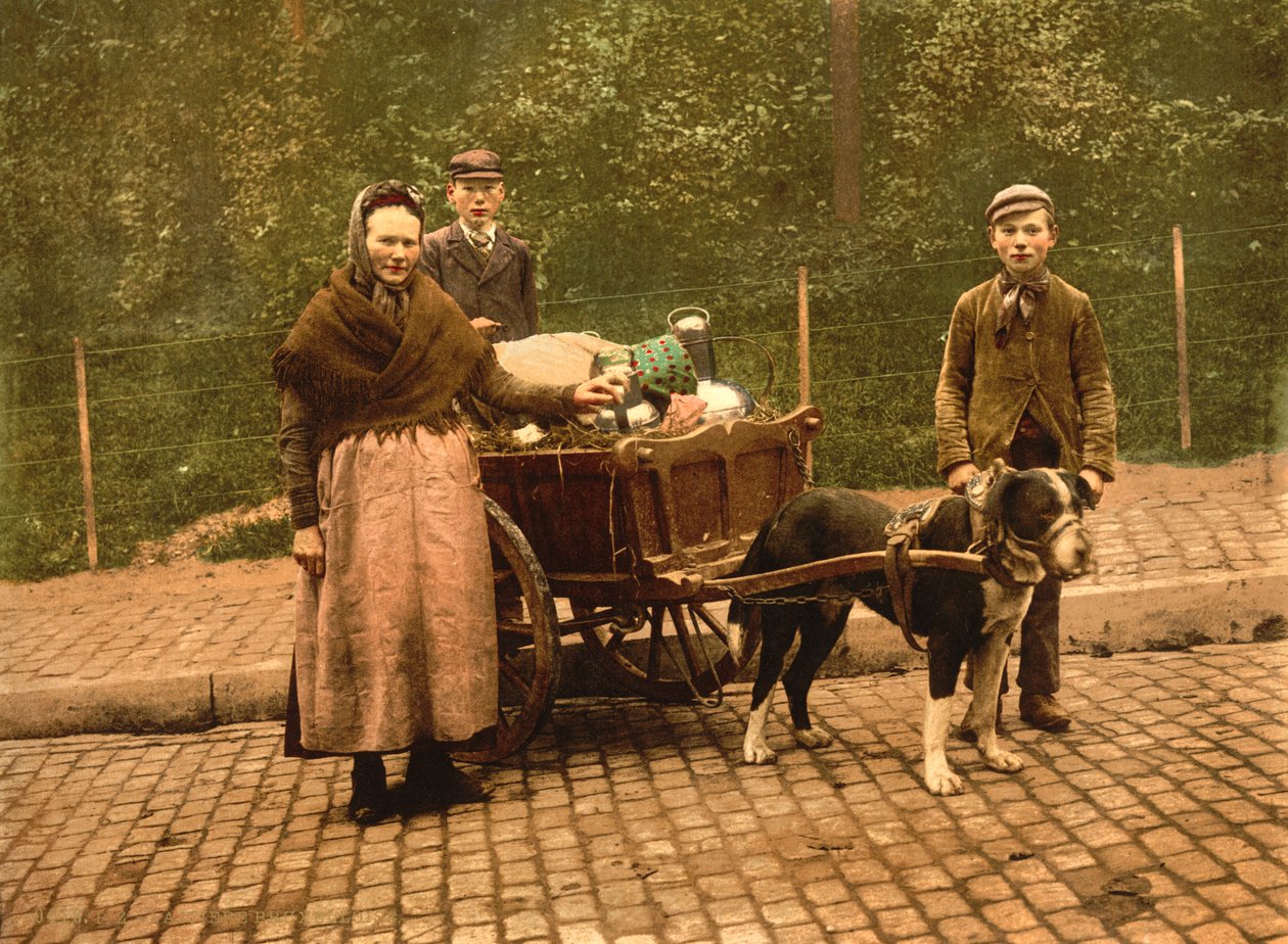 Milk Sellers, Bruxelas, Bélgica, c.1900 de Detroit Publishing Co.