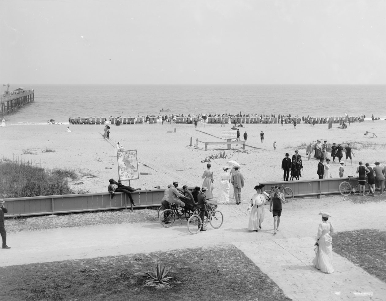 Palm Beach, Flórida, c.1905 (foto a p/b) de Detroit Publishing Co.