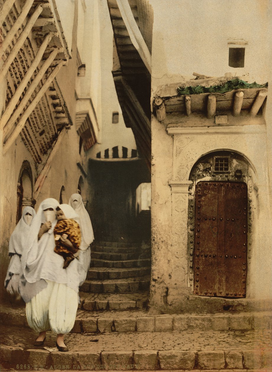 Rua dos camelos, Argel, c.1899 (photochrom) de Detroit Publishing Co.
