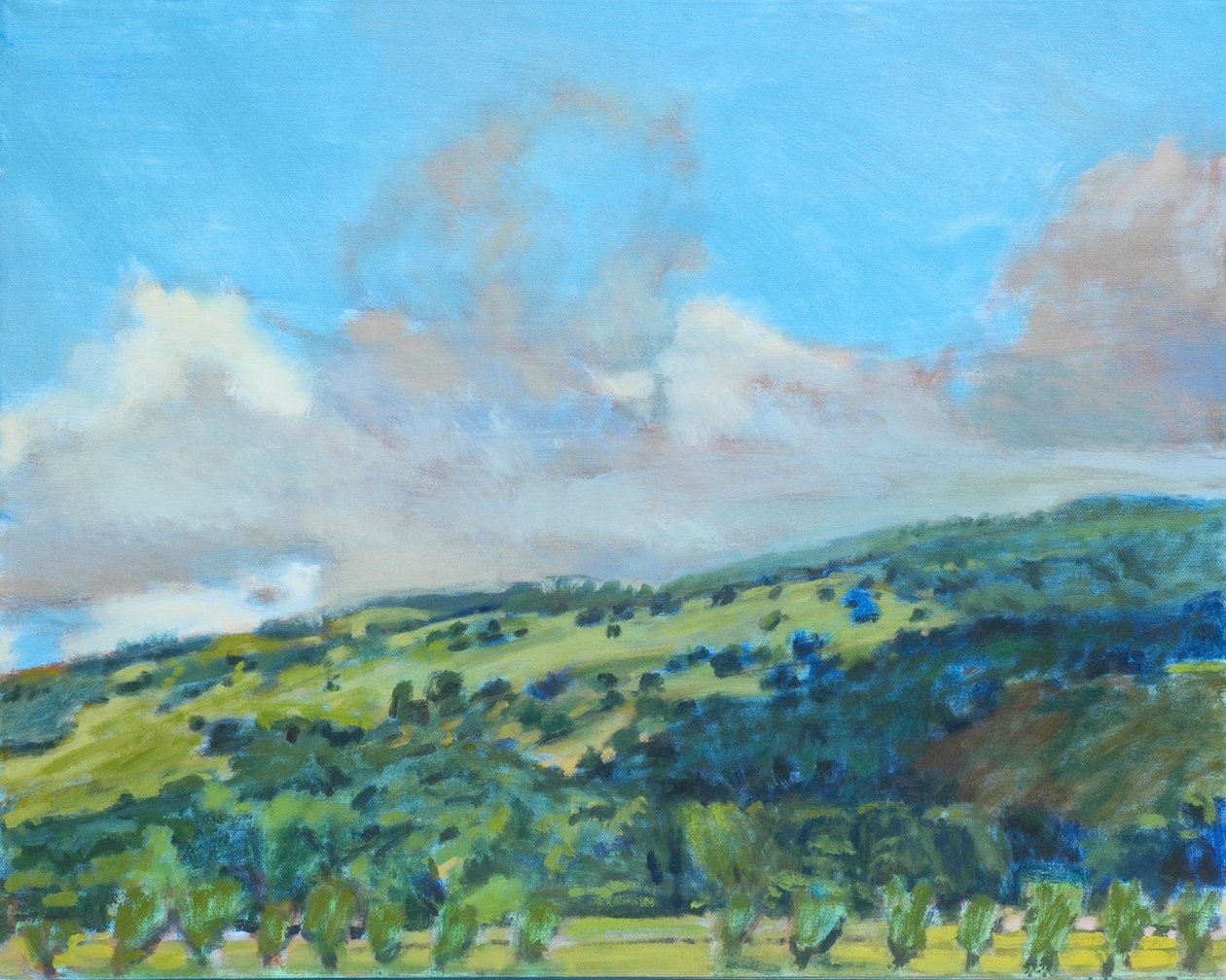 Calif Hills, 2006 (pastel sobre papel) de Diana Jahns