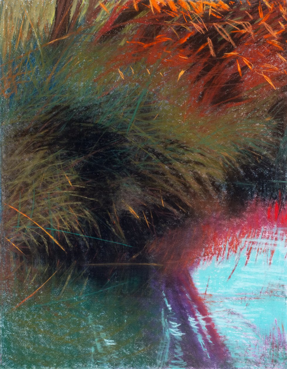Salgueiro vermelho 1b, 2021 (pastel sobre papel) de Diana Jahns