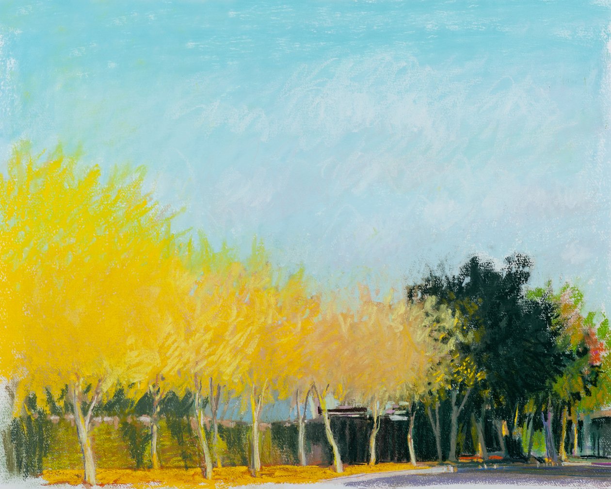 Sunny Side, 2015 (pastel sobre papel) de Diana Jahns