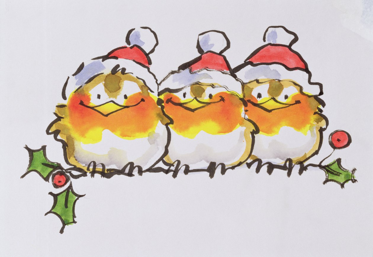 Robins de Natal (tinta e wc no papel) de Diane Matthes