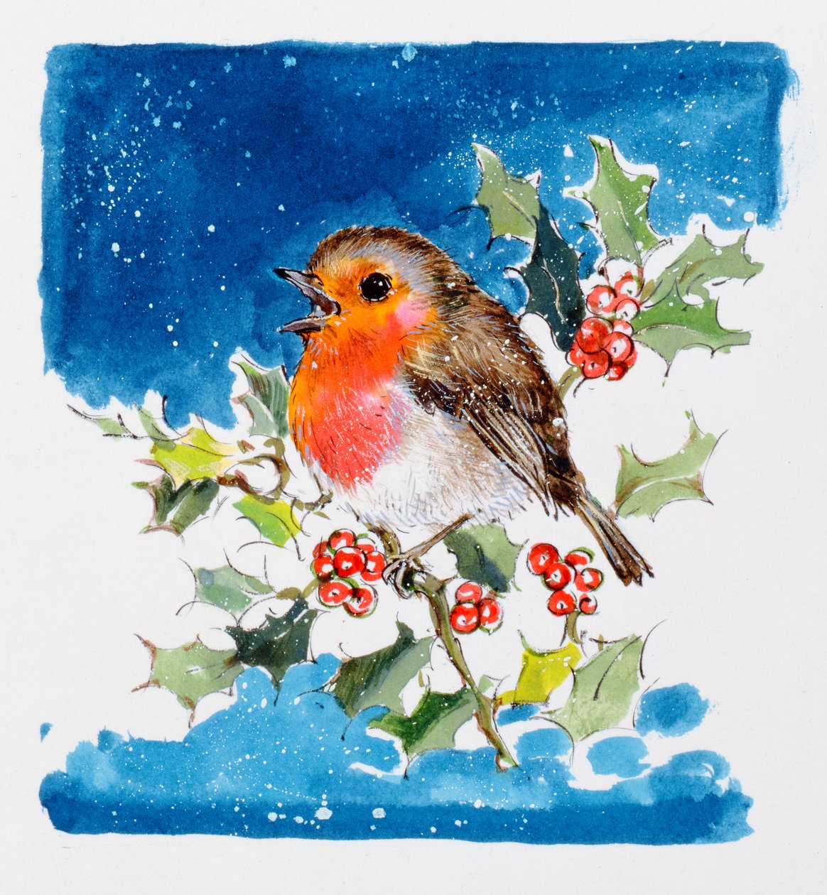 Robin Red-breast, 1996 (wc) de Diane Matthes