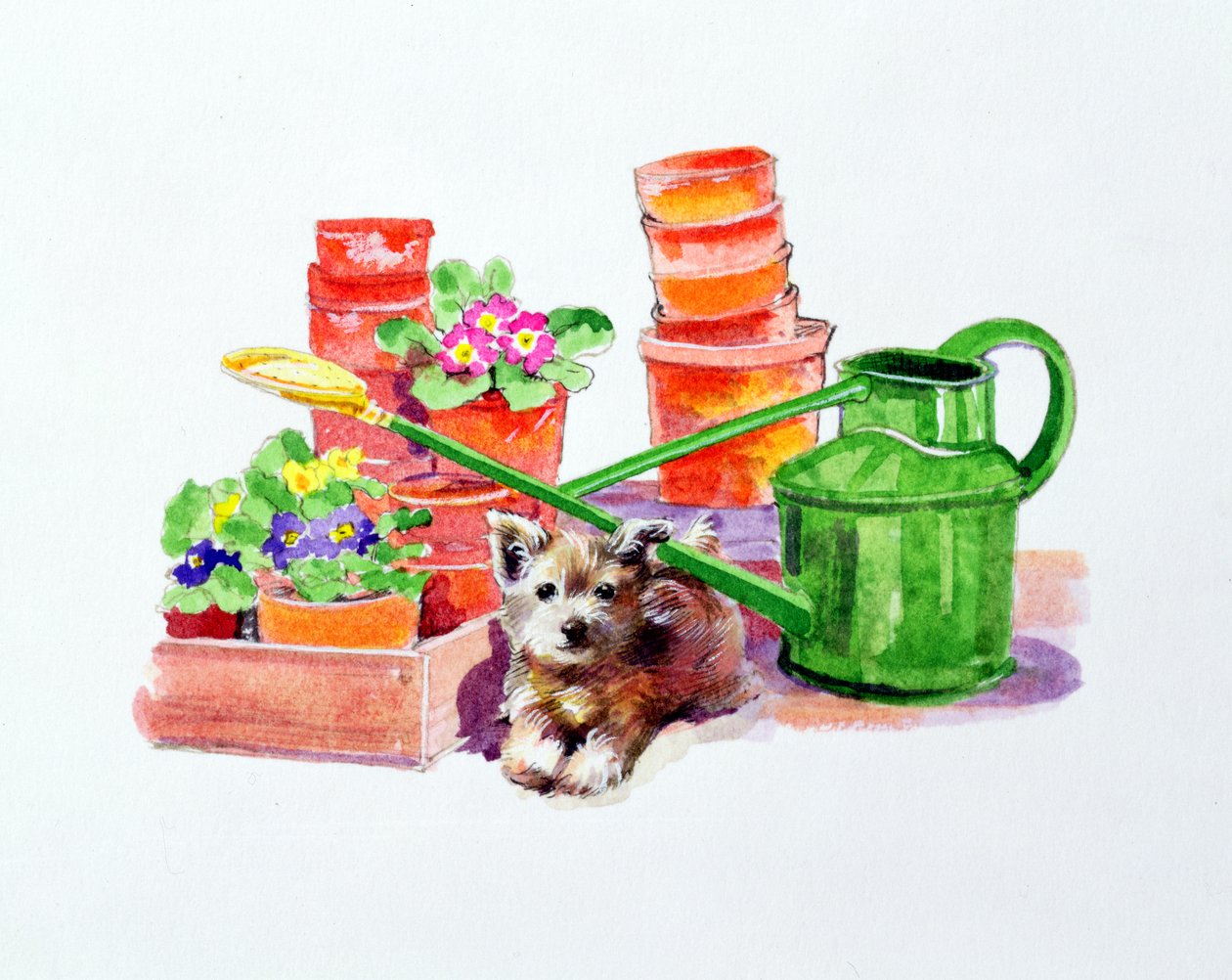 Terrier entre vasos de terracota de Diane Matthes